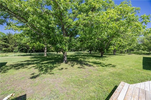 3931 Main St, Parsons, KS 67357 - view of green lawn with view of scattered trees