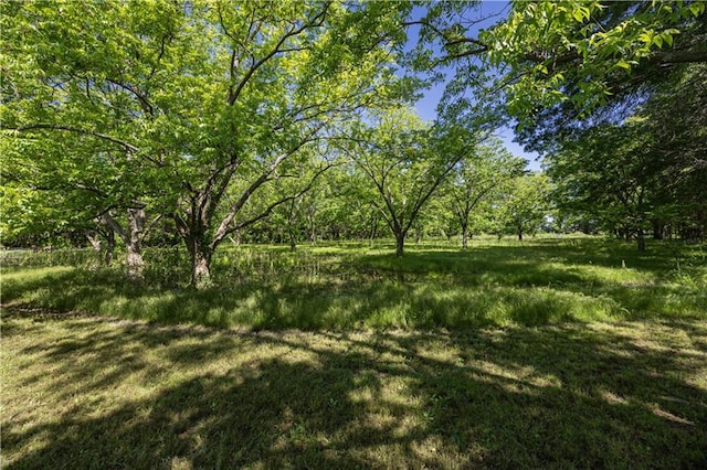 3931 Main St, Parsons, KS 67357 - view of yard