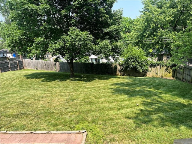 8425 N Tracy Ave, Kansas City, MO 64155 - view of yard