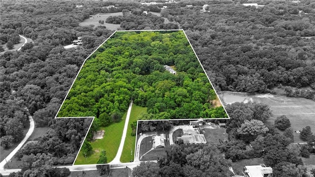 1810 S 98th St, Edwardsville, KS 66111 - aerial view of property's location with property boundaries highlighted