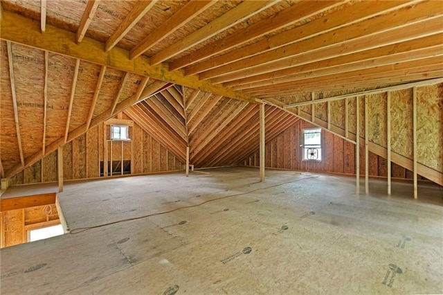 1810 S 98th St, Edwardsville, KS 66111 - unfinished attic with healthy amount of natural light