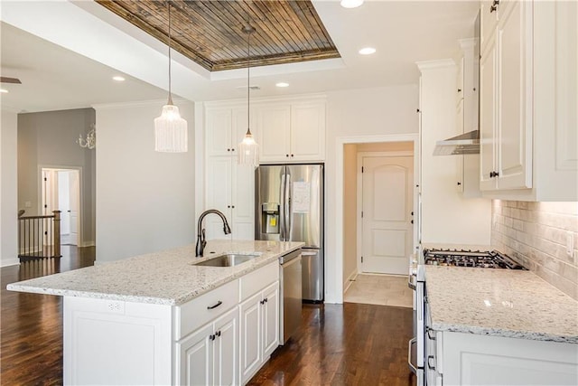 22900 S Ridgeview Dr, Peculiar, MO 64078 - kitchen featuring a sink, a raised ceiling, appliances with stainless steel finishes, dark wood-type flooring, and tasteful backsplash