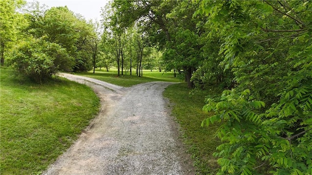 17922 County Road 361, Savannah, MO 64485 - view of dirt / gravel road