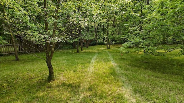 17922 County Road 361, Savannah, MO 64485 - view of yard