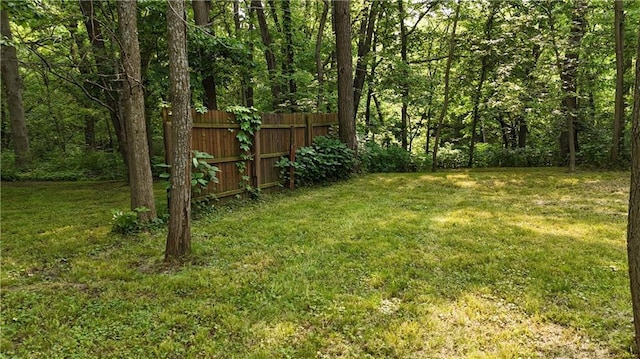 17922 County Road 361, Savannah, MO 64485 - view of yard featuring a wooded view