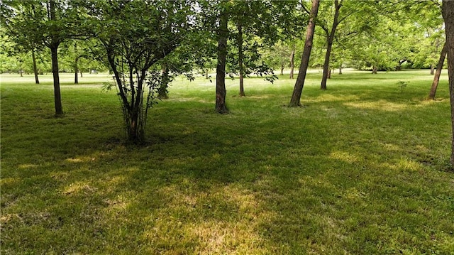 17922 County Road 361, Savannah, MO 64485 - view of green lawn
