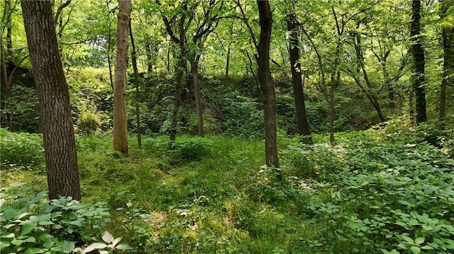 17922 County Road 361, Savannah, MO 64485 - view of wooded area