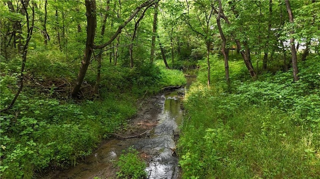 17922 County Road 361, Savannah, MO 64485 - view of wooded area