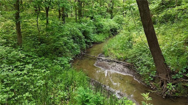 17922 County Road 361, Savannah, MO 64485 - view of woods