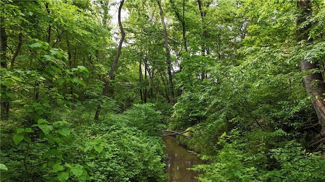 17922 County Road 361, Savannah, MO 64485 - view of tree filled area
