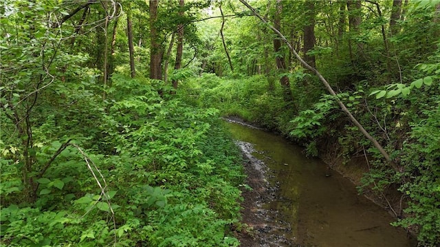 17922 County Road 361, Savannah, MO 64485 - view of woods