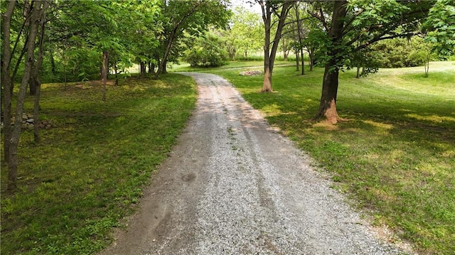 17922 County Road 361, Savannah, MO 64485 - view of road