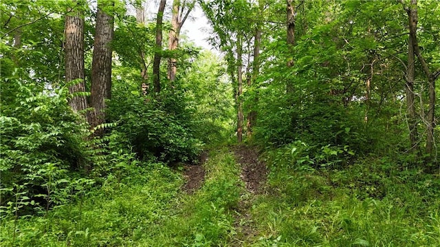 17922 County Road 361, Savannah, MO 64485 - view of wooded area