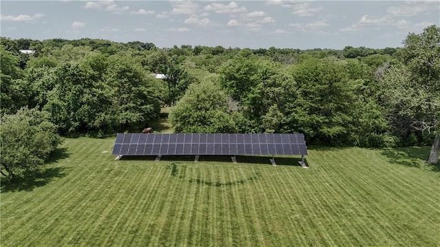 11702 E 246th St, Peculiar, MO 64078 - aerial view of property's location
