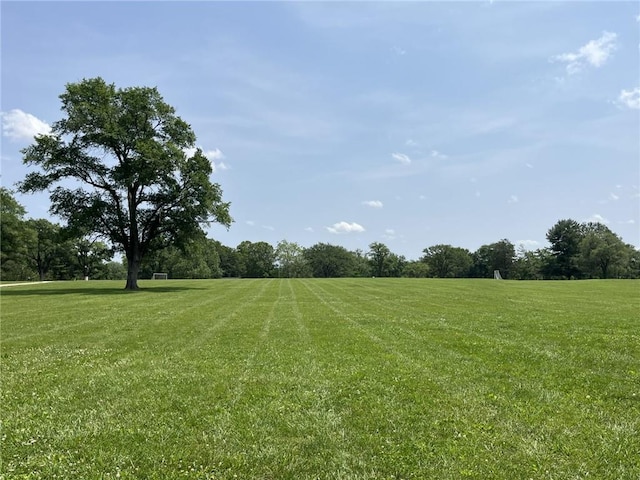 7316 E 109th St, Kansas City, MO 64134 - view of green lawn