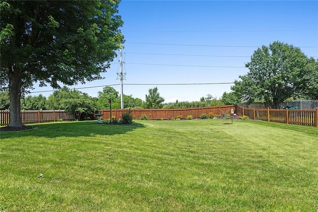 8108 NE 113th St, Kansas City, MO 64157 - view of fenced backyard