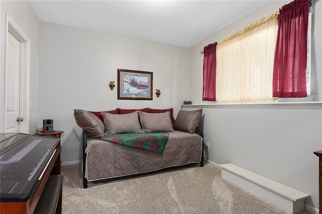 8108 NE 113th St, Kansas City, MO 64157 - bedroom featuring multiple windows and carpet