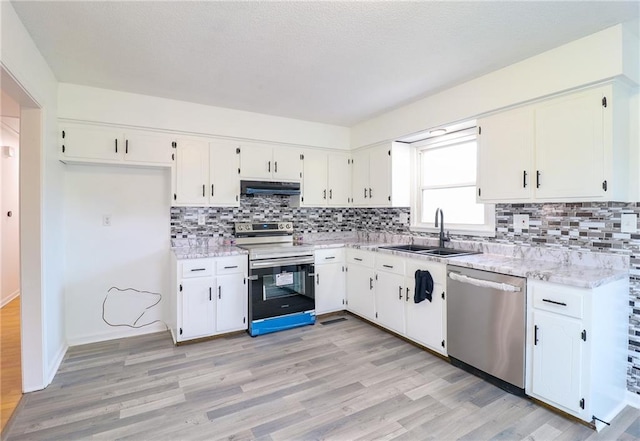 956 Ridge Dr, Warrensburg, MO 64093 - kitchen with stainless steel appliances, a sink, under cabinet range hood, light wood finished floors, and tasteful backsplash