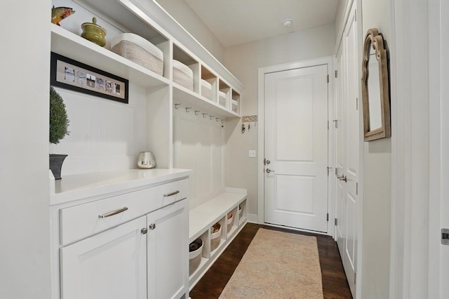 16005 Melrose St, Overland Park, KS 66221 - mudroom with dark wood-style floors and baseboards