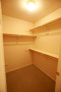 814 Clancy Ct, Raymore, MO 64083 - view of spacious closet