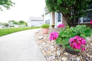 814 Clancy Ct, Raymore, MO 64083 - view of yard