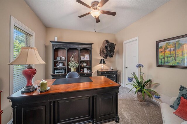 11408 NE 113th Ter, Liberty, MO 64068 - office with ceiling fan and light colored carpet
