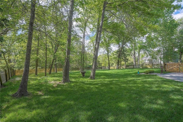 309 E 126th St, Kansas City, MO 64145 - view of fenced yard