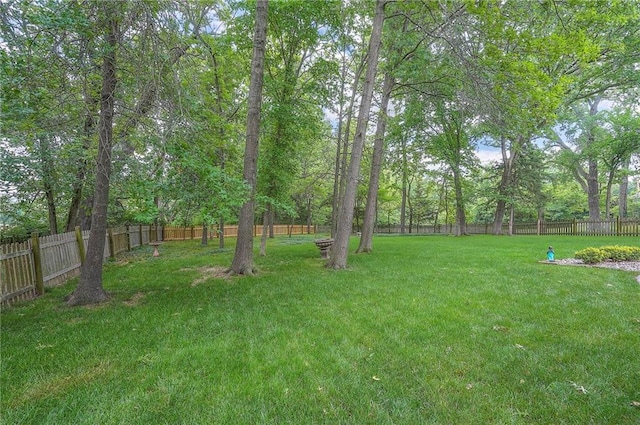 309 E 126th St, Kansas City, MO 64145 - view of fenced backyard