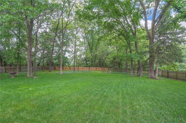 309 E 126th St, Kansas City, MO 64145 - view of fenced backyard