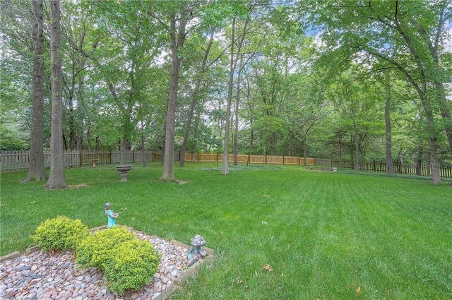 309 E 126th St, Kansas City, MO 64145 - view of fenced backyard