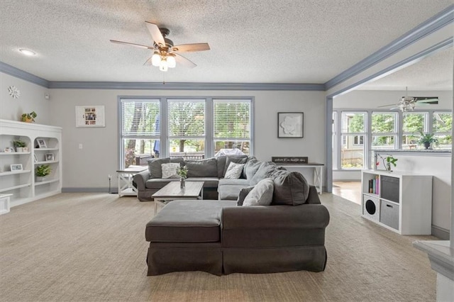14105 W 115th St, Olathe, KS 66062 - carpeted living area with a ceiling fan, ornamental molding, a textured ceiling, and baseboards