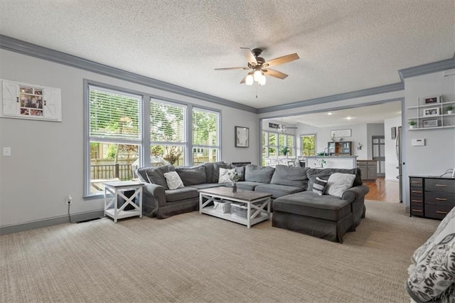 14105 W 115th St, Olathe, KS 66062 - living room featuring crown molding, a ceiling fan, light colored carpet, and a textured ceiling