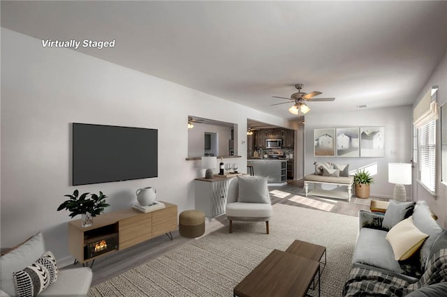1129 US Highway 50, Centerview, MO 64019 - living room featuring a ceiling fan, wood finished floors, and a lit fireplace