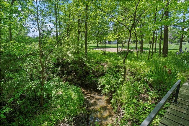20711 Benson St, Bucyrus, KS 66013 - view of local wilderness