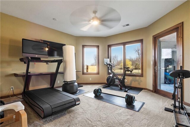 20711 Benson St, Bucyrus, KS 66013 - workout room with carpet flooring