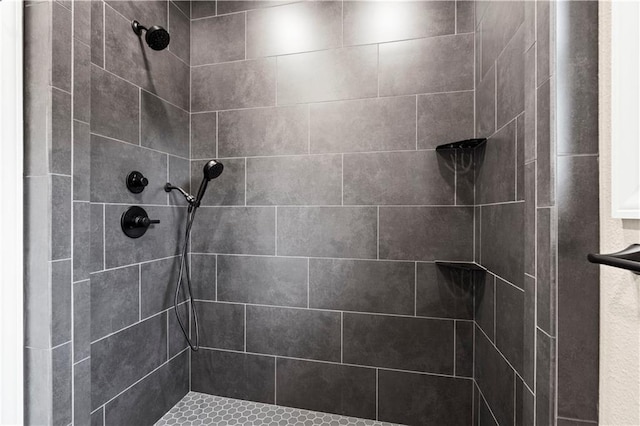 26696 235th St, Mclouth, KS 66054 - bathroom featuring tiled shower