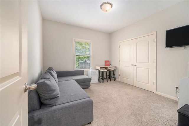 13511 W 56th Ter, Shawnee, KS 66216 - living area with carpet and baseboards