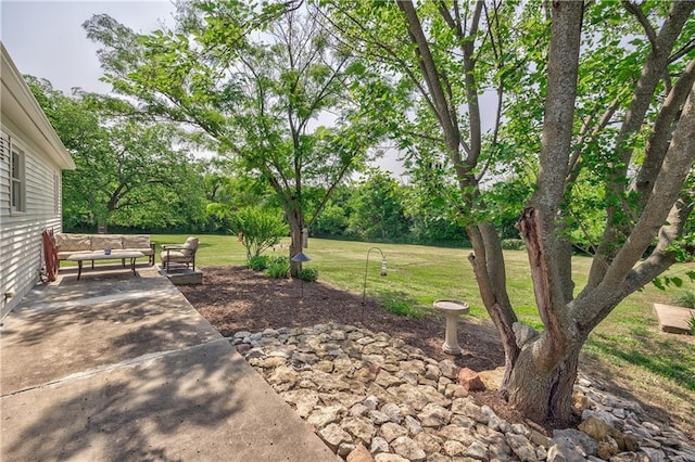 24853 Linwood Rd, Lawrence, KS 66044 - photo 6