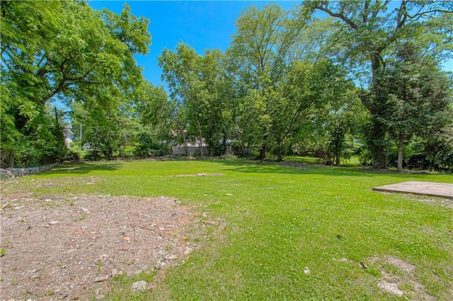 3874 E 63rd St, Kansas City, MO 64130 - view of grassy yard featuring view of wooded area