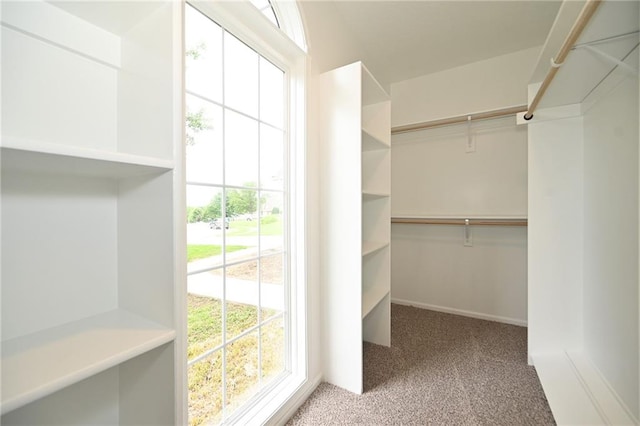 18 Timber Creek Cir, Platte City, MO 64079 - spacious closet with carpet floors