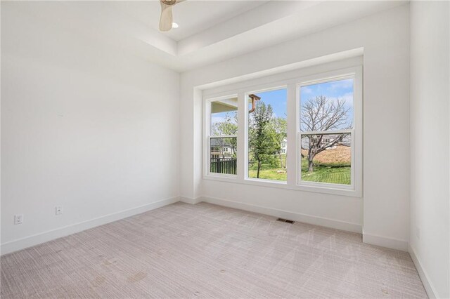 12445 Empress St, Platte City, MO 64079 - spare room with light colored carpet, baseboards, and a raised ceiling