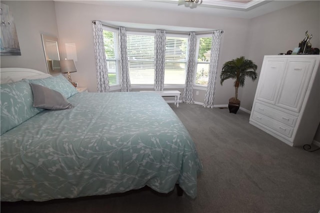 2015 Creek View Ln, Raymore, MO 64083 - carpeted bedroom with baseboards