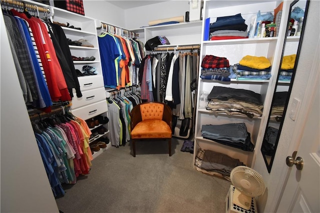 2015 Creek View Ln, Raymore, MO 64083 - spacious closet featuring carpet