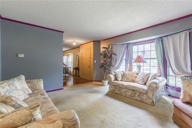 9714 Shepherds Dr, Kansas City, MO 64131 - living area featuring healthy amount of natural light, crown molding, a textured ceiling, and carpet floors