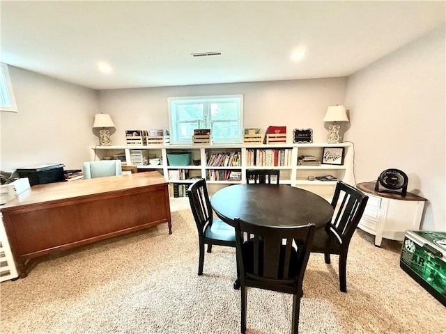 705 W Lincoln St, Maryville, MO 64468 - photo 28