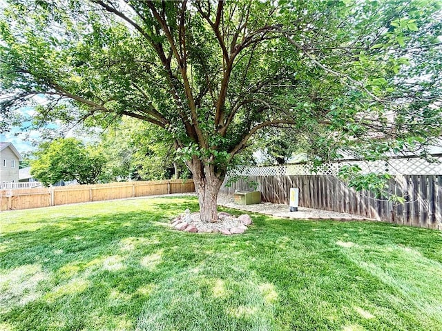 705 W Lincoln St, Maryville, MO 64468 - photo 39