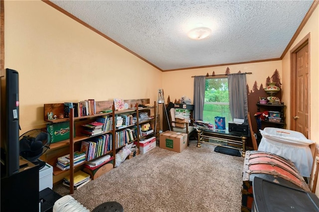 46005 E State Route N, Creighton, MO 64739 - carpeted home office with crown molding, a textured ceiling, and vaulted ceiling