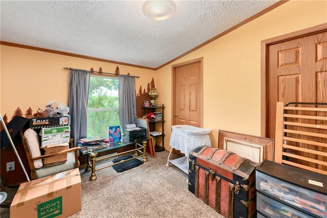 46005 E State Route N, Creighton, MO 64739 - office area with ornamental molding, carpet, a textured ceiling, and lofted ceiling