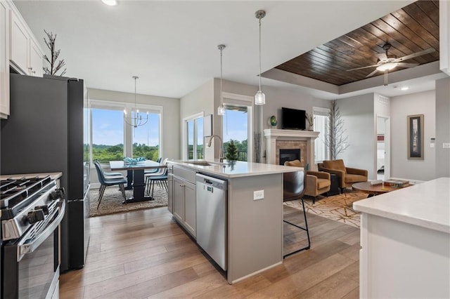 9504 N Amoret Ave, Kansas City, MO 64154 - kitchen with stainless steel appliances, a sink, a glass covered fireplace, a tray ceiling, and light wood-style floors