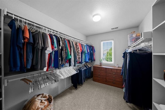 17631 S Brockway St, Olathe, KS 66062 - walk in closet with carpet floors